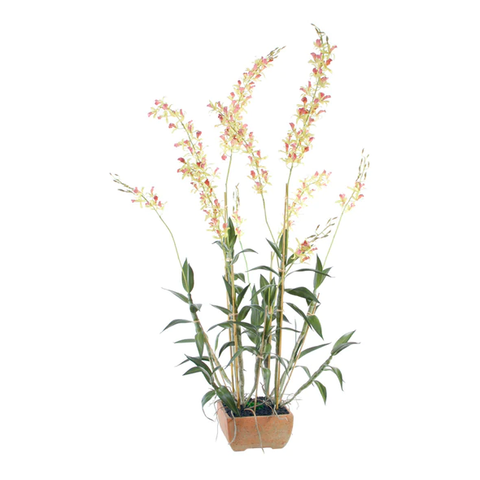 Laeliocattleya Orchid in Terracotta - 60"H