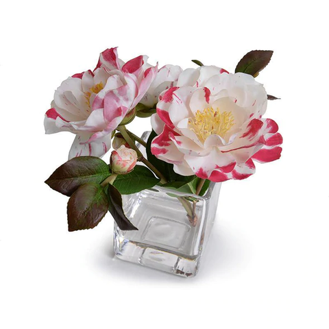 Camellia Cutting in Glass - Red-White