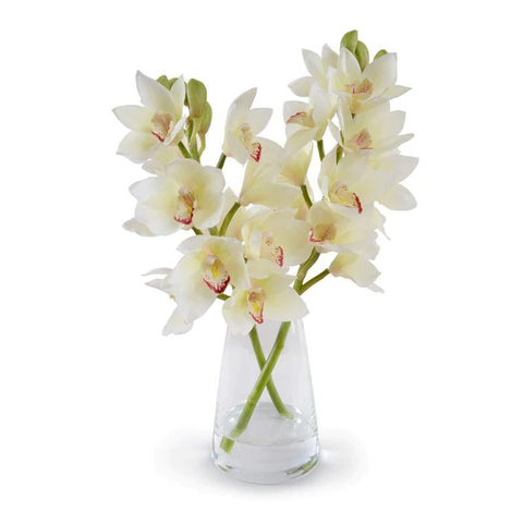 Cymbidium Orchid Arrangement - White