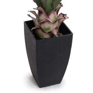 Agave Americana Plant in Square Pot, 28"H