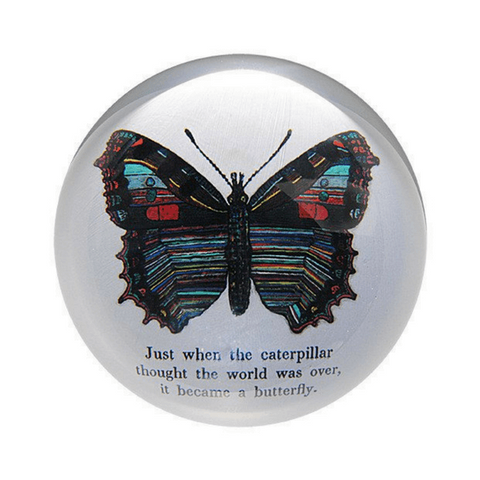 Butterfly - Paperweight