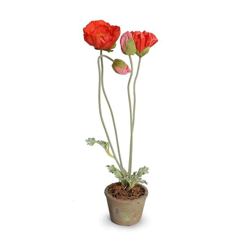 Poppy in Terracotta - Orange-red