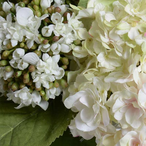 Hydrangea Bud Arrangement - White Green