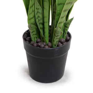 Snake Plant in Round Pot, 29"H