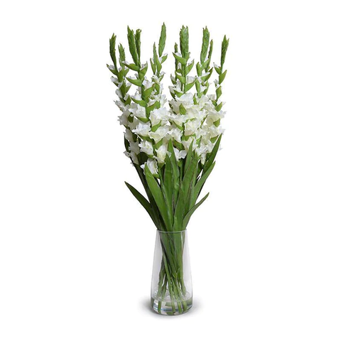 Gladiolus Arrangement in Glass - White