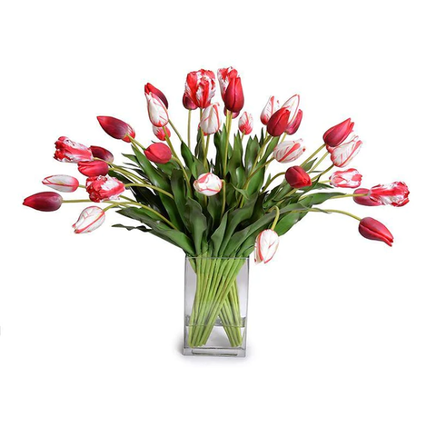 Tulip Arrangement - Red-White