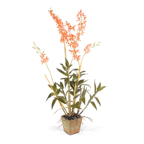 Spider Orchid in Terracotta, 62"H - Orange