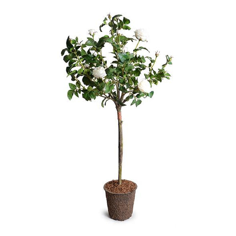Rose Tree Topiary With White Flowers 56"