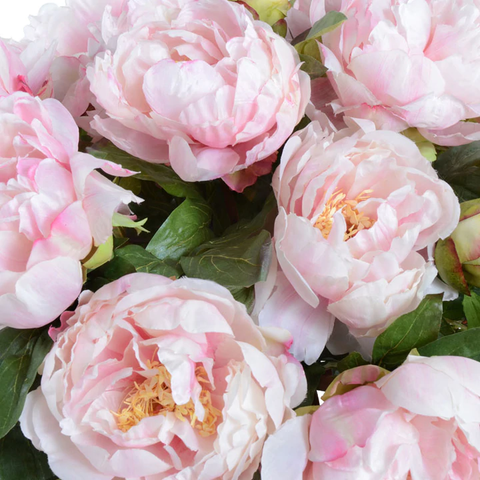 Peony Bouquet (Large) - Pink