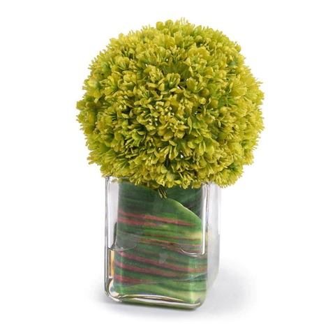Allium Cube - Green