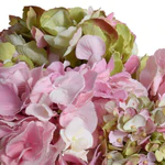 Hydrangea Arrangement - Pink Green