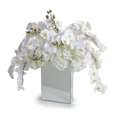 Orchid, Hydrangea Arrangement - Mixed