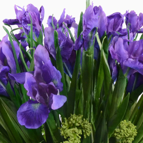 Iris, Viburnum Arrangement