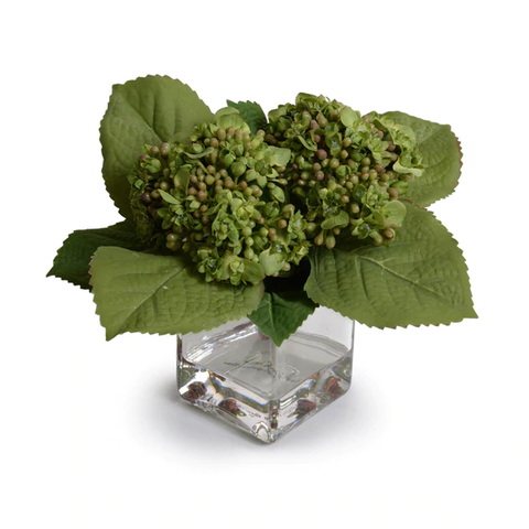 Hydrangea Bud Arrangement - Green