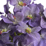 Vanda Orchids in Glass - Purple