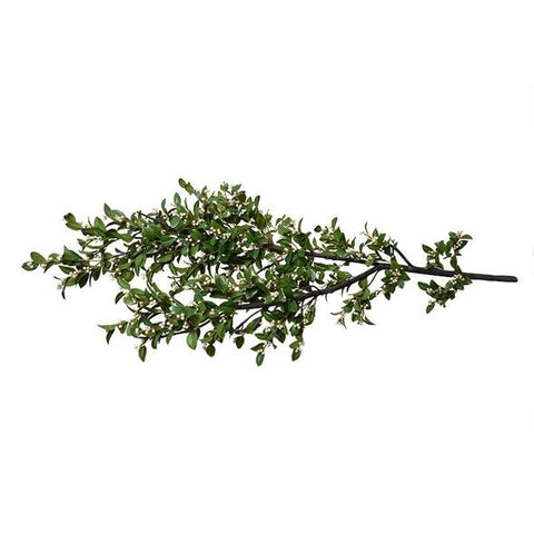 Holly Branch with White Berries, 68" L