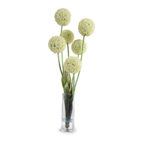 Allium in Glass Column - White