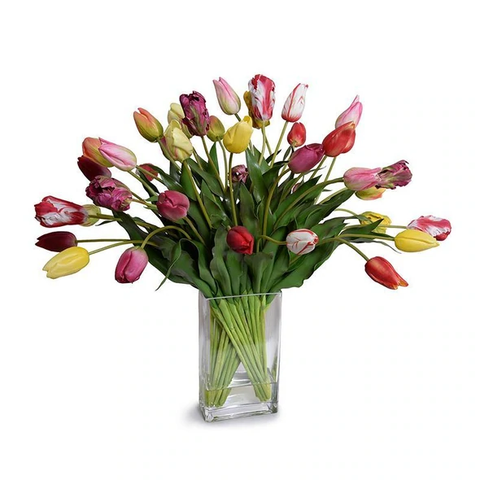 Tulip Bouquet - Mixed