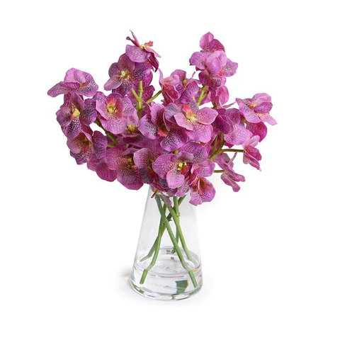 Vanda Orchids in Glass - Pink