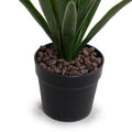 Yucca Plant in Round Pot, 30"H