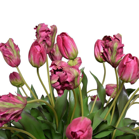 Tulip Arrangement - Burgundy