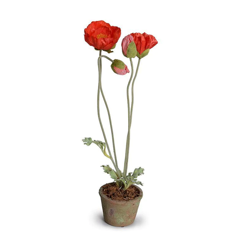 Poppy in Terracotta - Orange-red