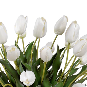 Tulip Arrangement - White