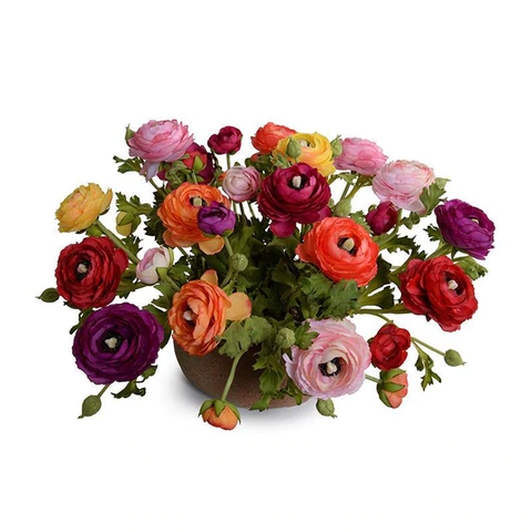 Ranunculus Centerpiece in Terracotta Bowl - Mixed