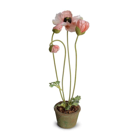 Poppy in Terracotta - Pink
