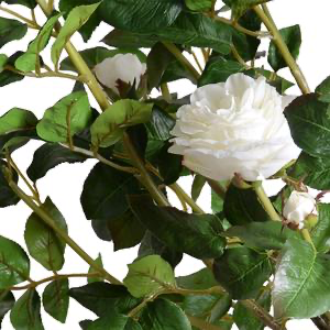 Rose Tree Topiary With White Flowers 56"