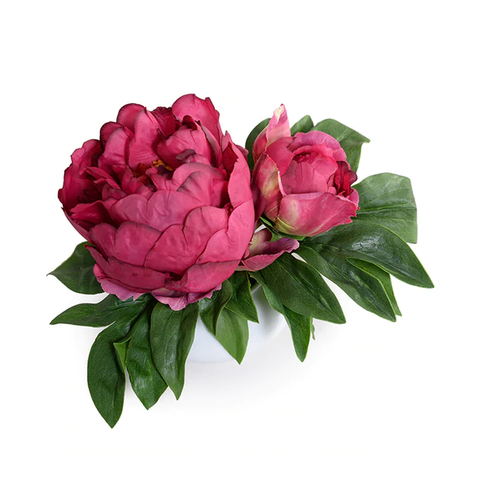 Peony Cutting in Porcelain Bowl - Dark Fuchsia