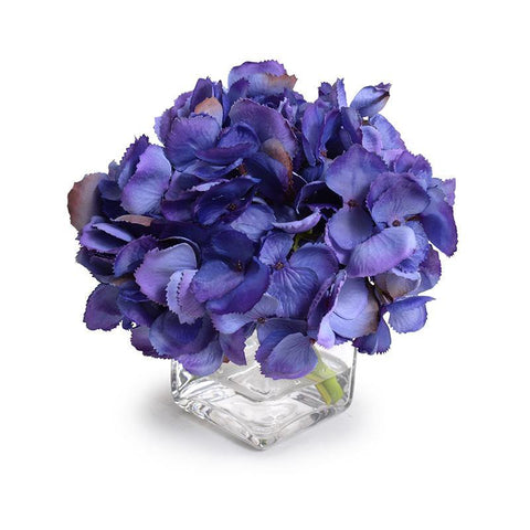 Hydrangea Cutting - Purple