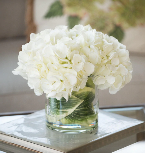 Hydrangea Arrangement - Cream