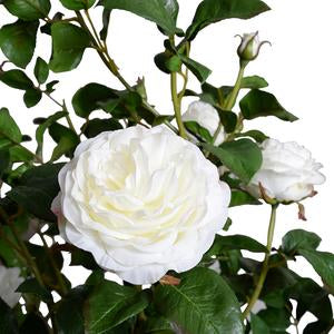 Rose Tree Topiary With White Flowers 56"