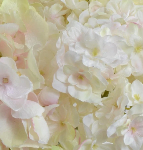 Hydrangea Bouquet in Glass Cylinder - Pink-Green