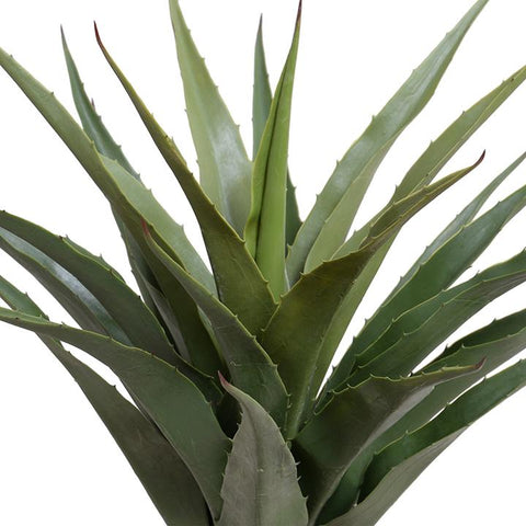 Agave Americana Plant in Square Pot, 28"H