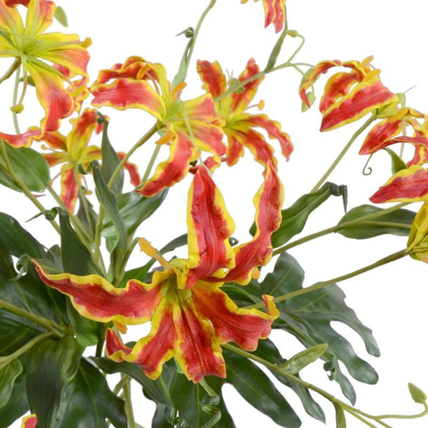 Gloriosa Lily Bouquet - Orange-Green