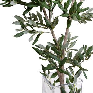 Olive Branch in Glass, 58"H