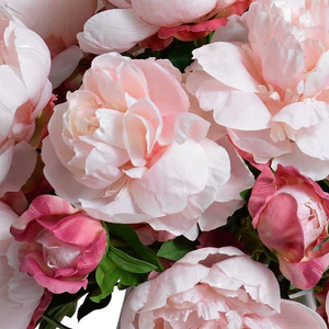 Peony Bouquet (Large) - Pink