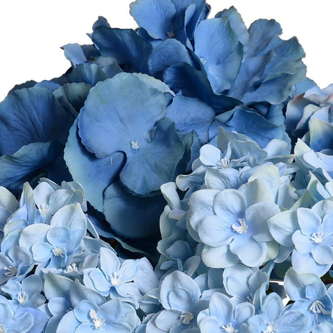 Hydrangea Arrangement - Blue