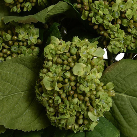 Hydrangea Bud Bouquet - Green