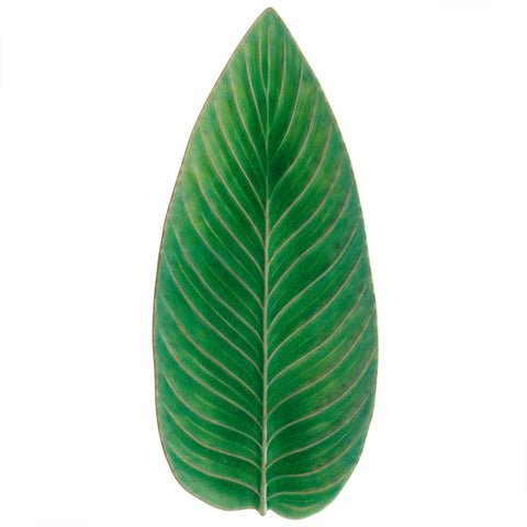 Riviera  Strelizia leaf - 40 cm | 16'' - Tomate