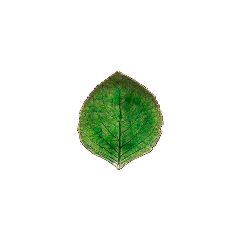 Riviera Bath  Hydrangea leaf - 17 cm | 7'' - Tomate