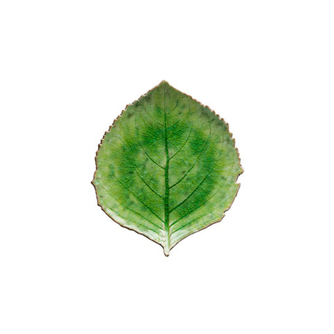 Riviera  Hydrangea leaf - 22 cm | 9'' - Tomate