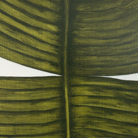 Ficus Elastica By Marianne Hendriks - 36" X 48"